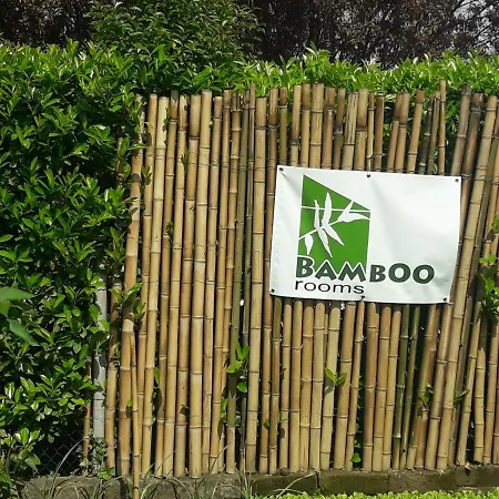 Bamboo * Cartiera Reali